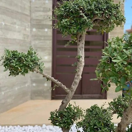 Bed and Breakfast Melissa