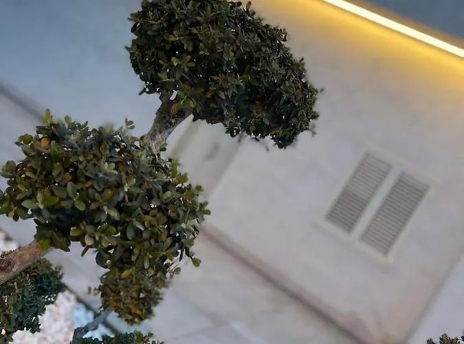 Oda ve Kahvaltı Melissa