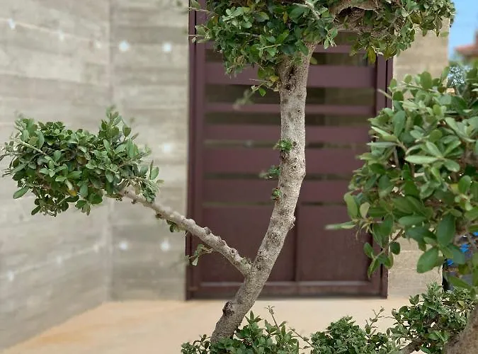 Oda ve Kahvaltı Melissa