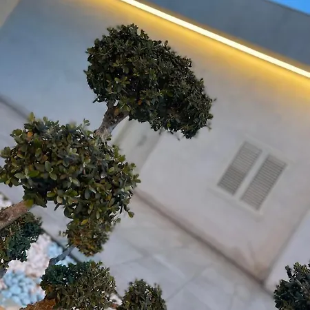 Alojamento de Acomodação e Pequeno-almoço Melissa